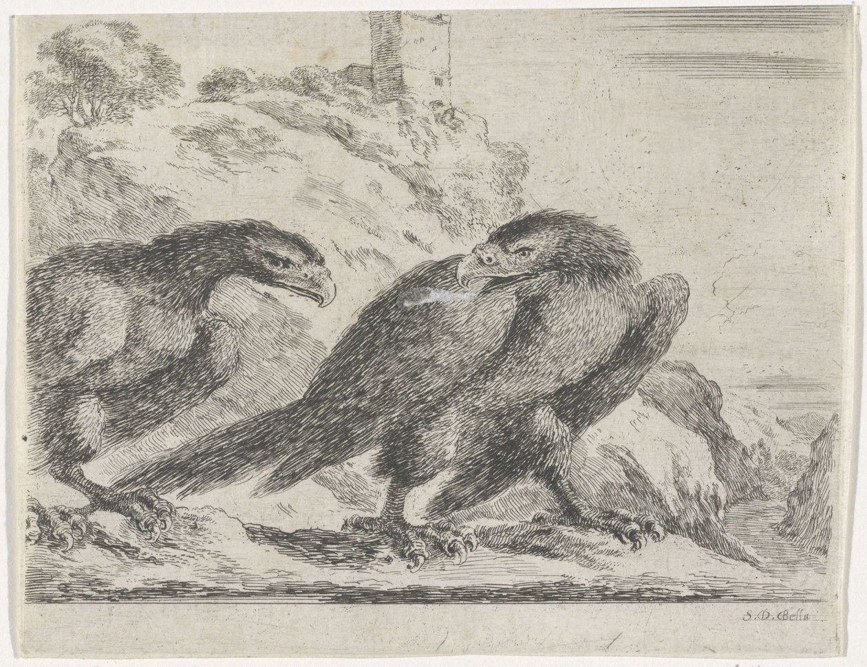 Adler nach rechts laufend, zurückblickend auf anderen Adler (Adler-Serie) von Stefano della Bella