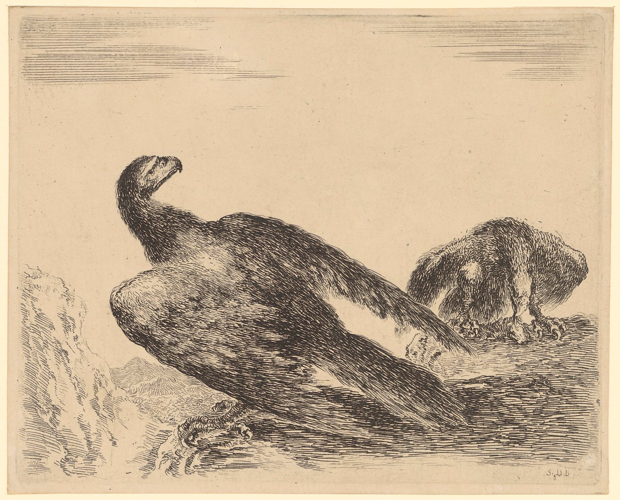 Flügelspreizender und fressender Adler, Blatt 4 der Folge "Adler" von Stefano della Bella