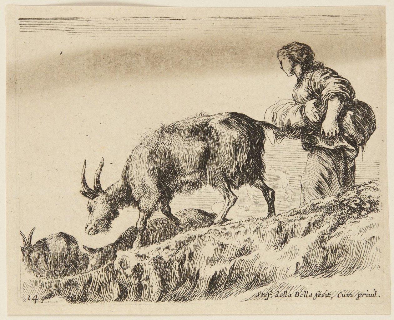 Ziegen (Verschiedene Tiere, 14) von Stefano della Bella
