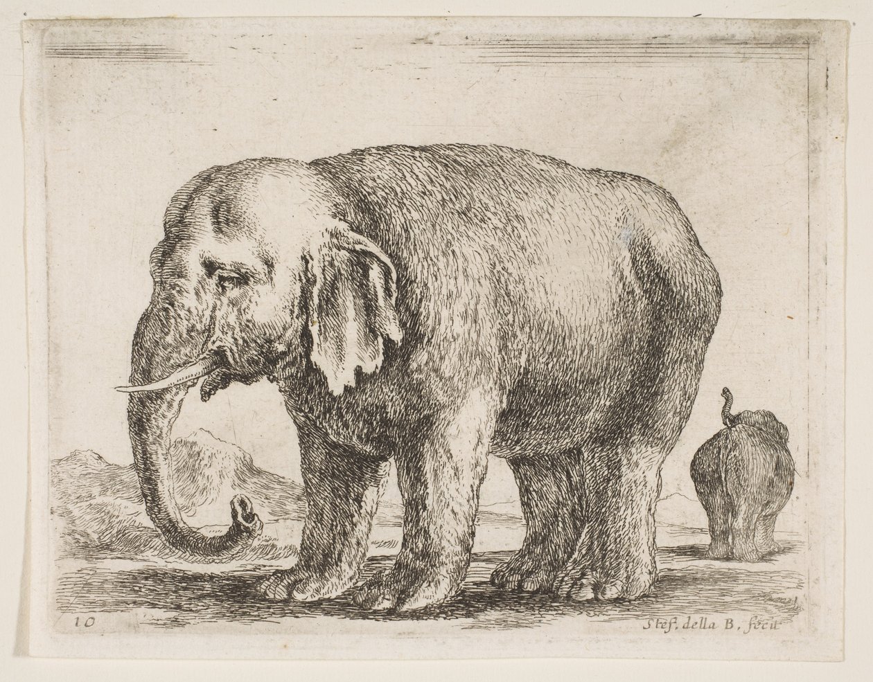 Platte 10: Elefant, aus Verschiedene Tiere Diversi animali, ca. 1641 von Stefano della Bella