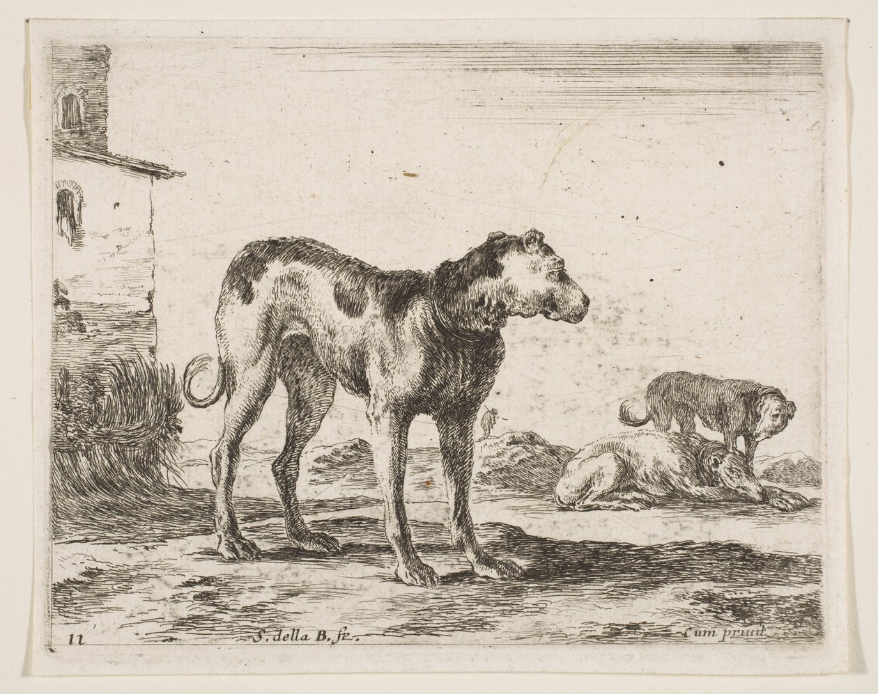 Platte 11: Hunde, aus Verschiedene Tiere, ca. 1641 von Stefano della Bella