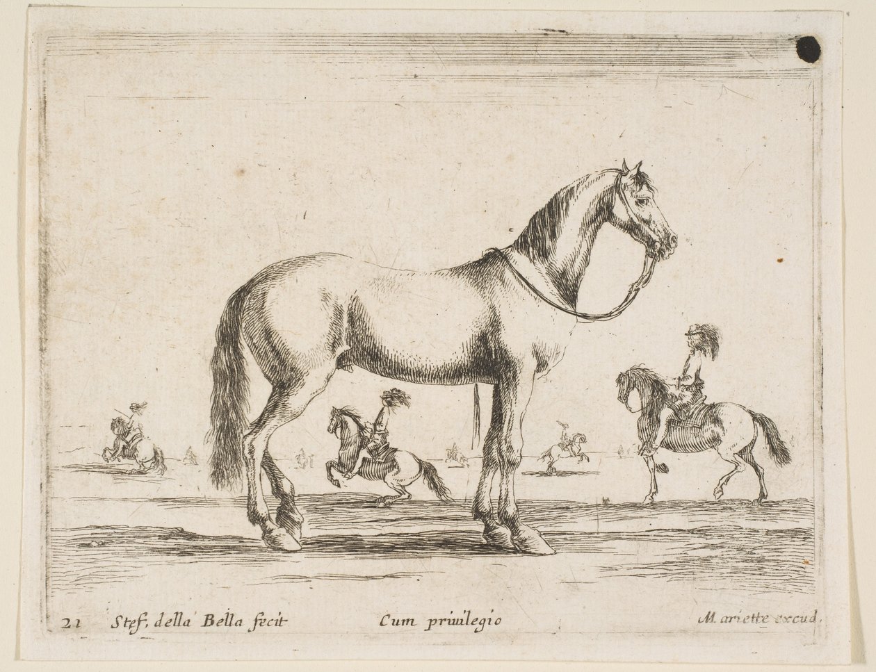 Tafel 21: Pferd, aus Verschiedene Tiere Diversi animali, 1641 von Stefano della Bella