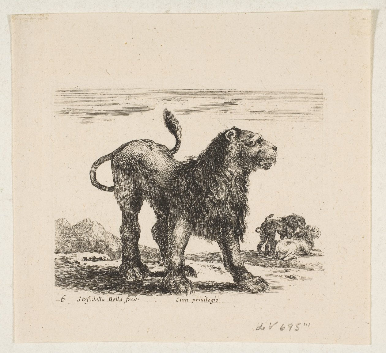 Tafel 6: Löwe, aus 
