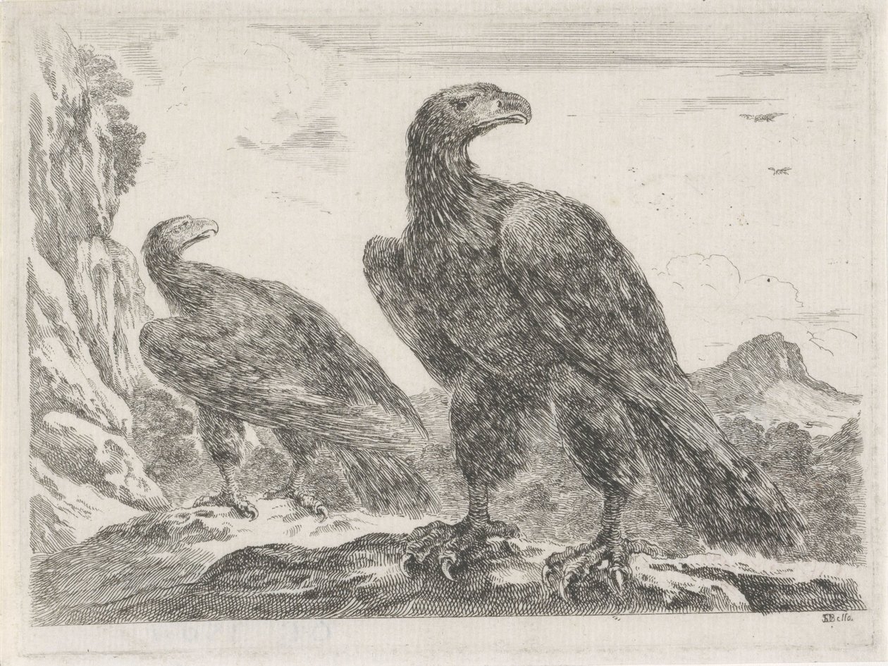 Zwei Adler mit Köpfen nach rechts von Stefano della Bella