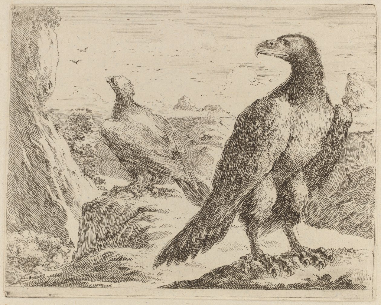 Zwei Adler, beide mit Köpfen nach links gedreht von Stefano della Bella