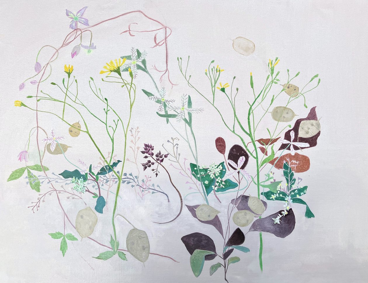 Wilde Dinge, 2024 von Suzy Fasht