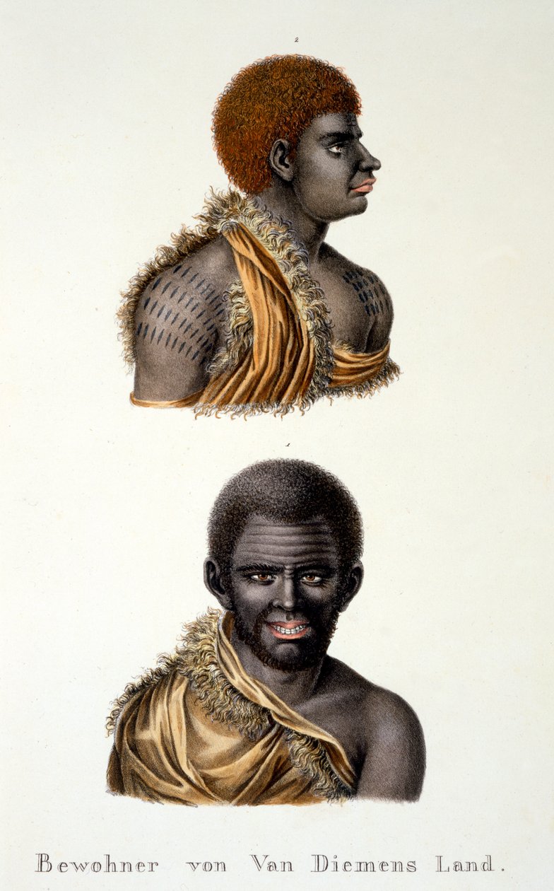 Eingeborene von Van Diemens Land, d.h. Tasmanien, aus Ethnologische Studie verschiedener Rassentypen von verschiedenen Kontinenten, von C.I. Brodtmann, 1824 von Swiss School