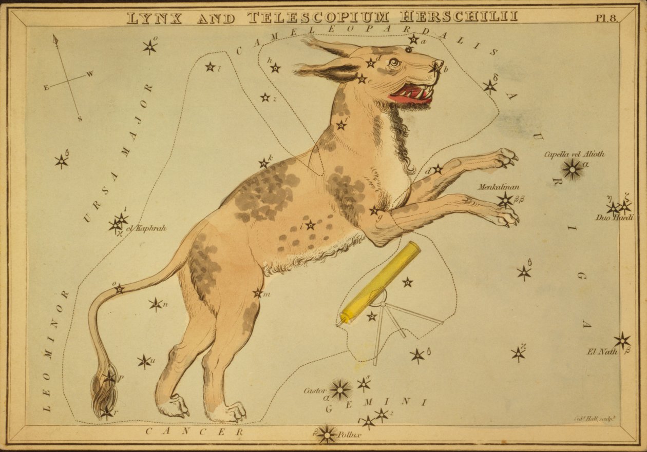 Luchs und Telescopium Herschilii, Illustration aus 