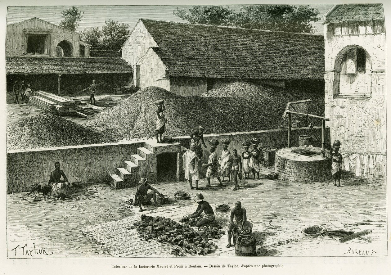 Im Inneren der Faktorei Maurel und Prom, in Boulam, Erdnüsse, Palmkerne und Gummi verarbeitend. Gravur von Taylor, nach einer Fotografie, zur Illustration der Geschichte Voyage dans la Sénégambie et la Guinée portugaise, 1888, von Kapitän A. Brosselard von T Taylor