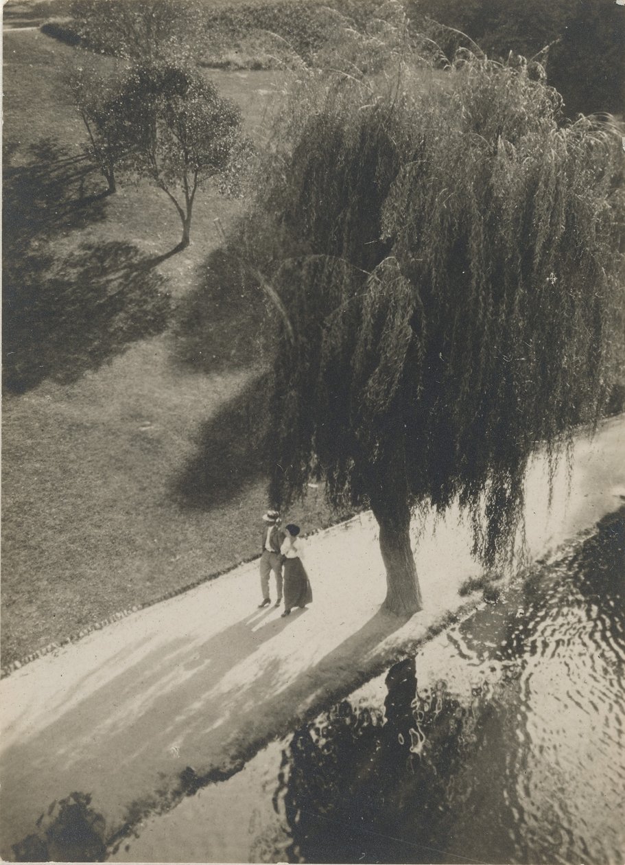 Sonnenlicht und Schatten von Taizo Kato
