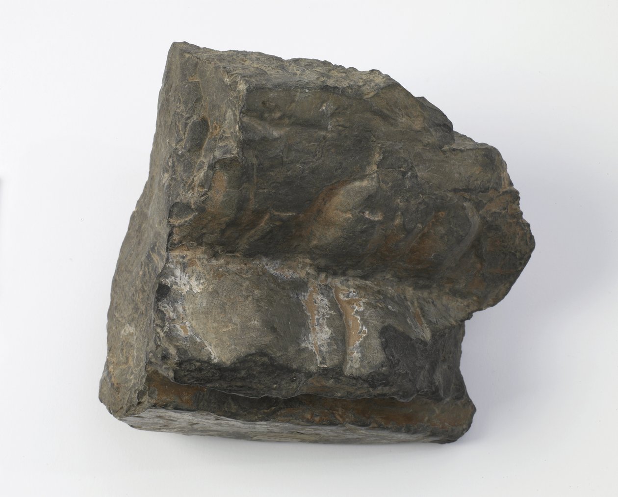 Fragment eines Lotus-Sockels von Tang Dynasty Chinese School