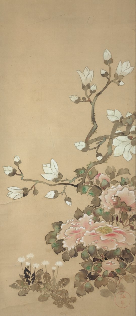 Pfingstrosen, Magnolie und Löwenzahn von Tawaraya Sotatsu