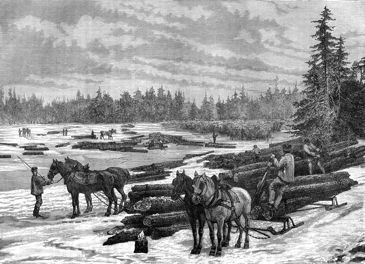 Kanadische Holzfäller, 19. Jahrhundert von Taylor