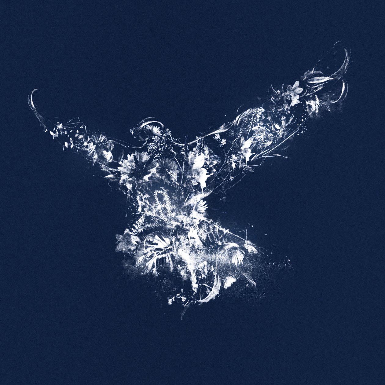 Im Flug, 2019 von Teis Albers
