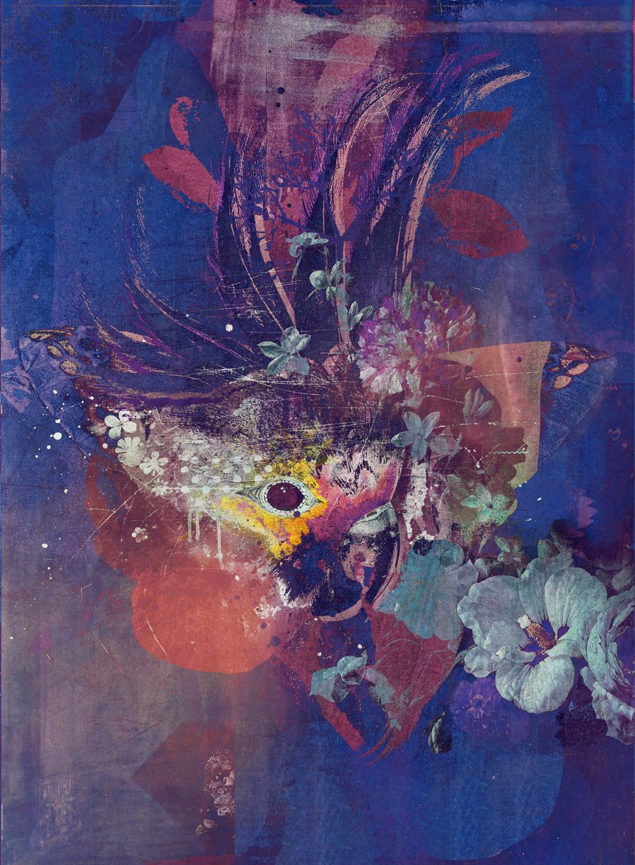 Pfau von Teis Albers