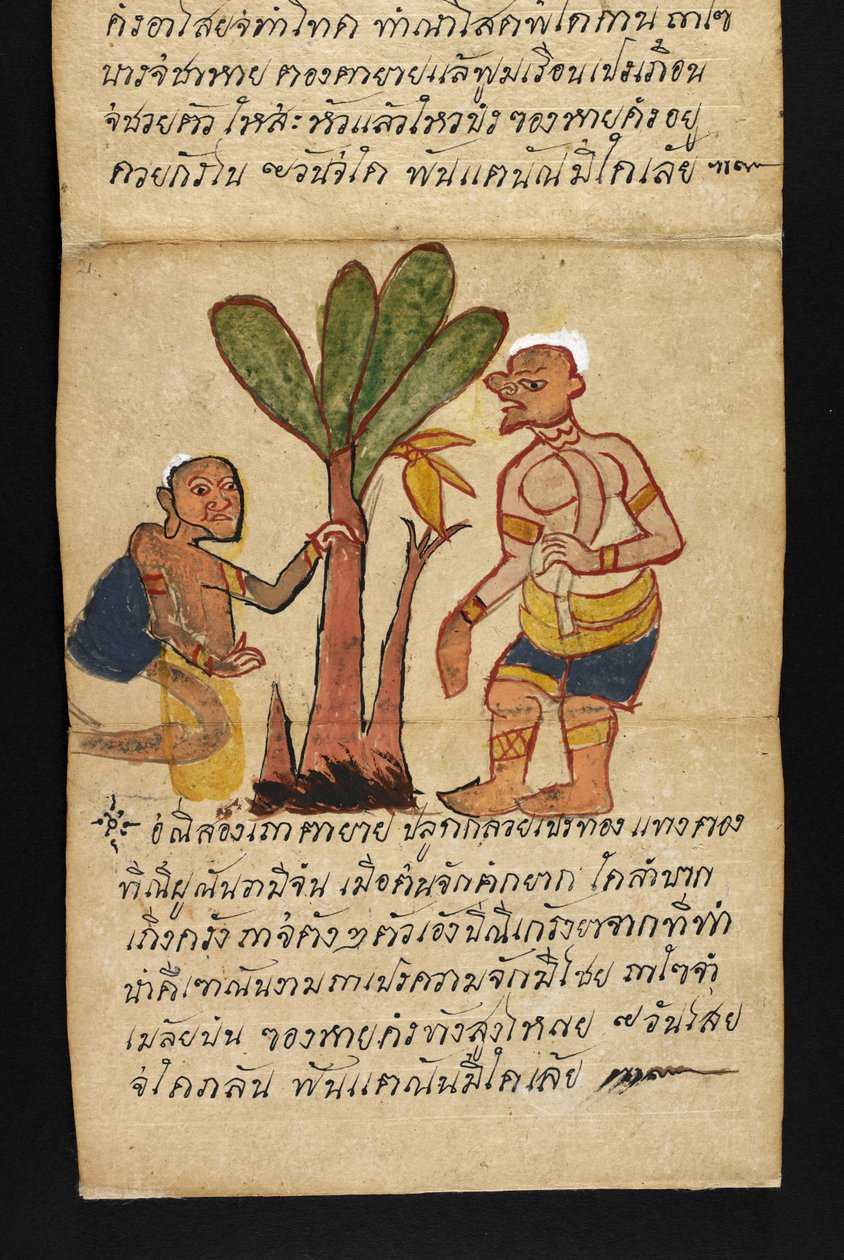 Satra über Wahrsagerei und Ratschläge für ein glückliches und gesundes Leben (Papierfaltbuch) von Thai School