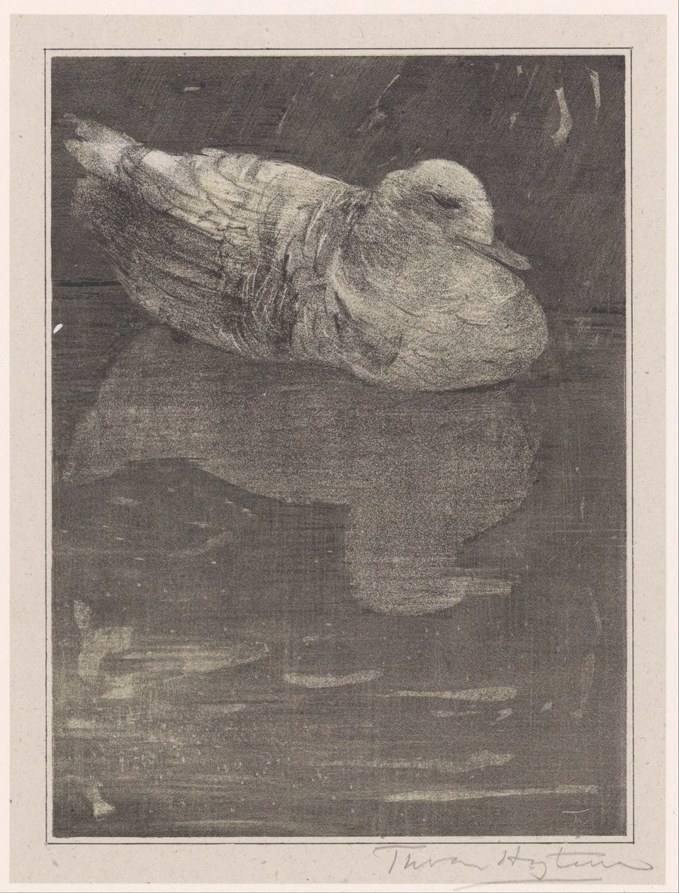 Schwimmende Ente von Theo van Hoytema (signed by artist)