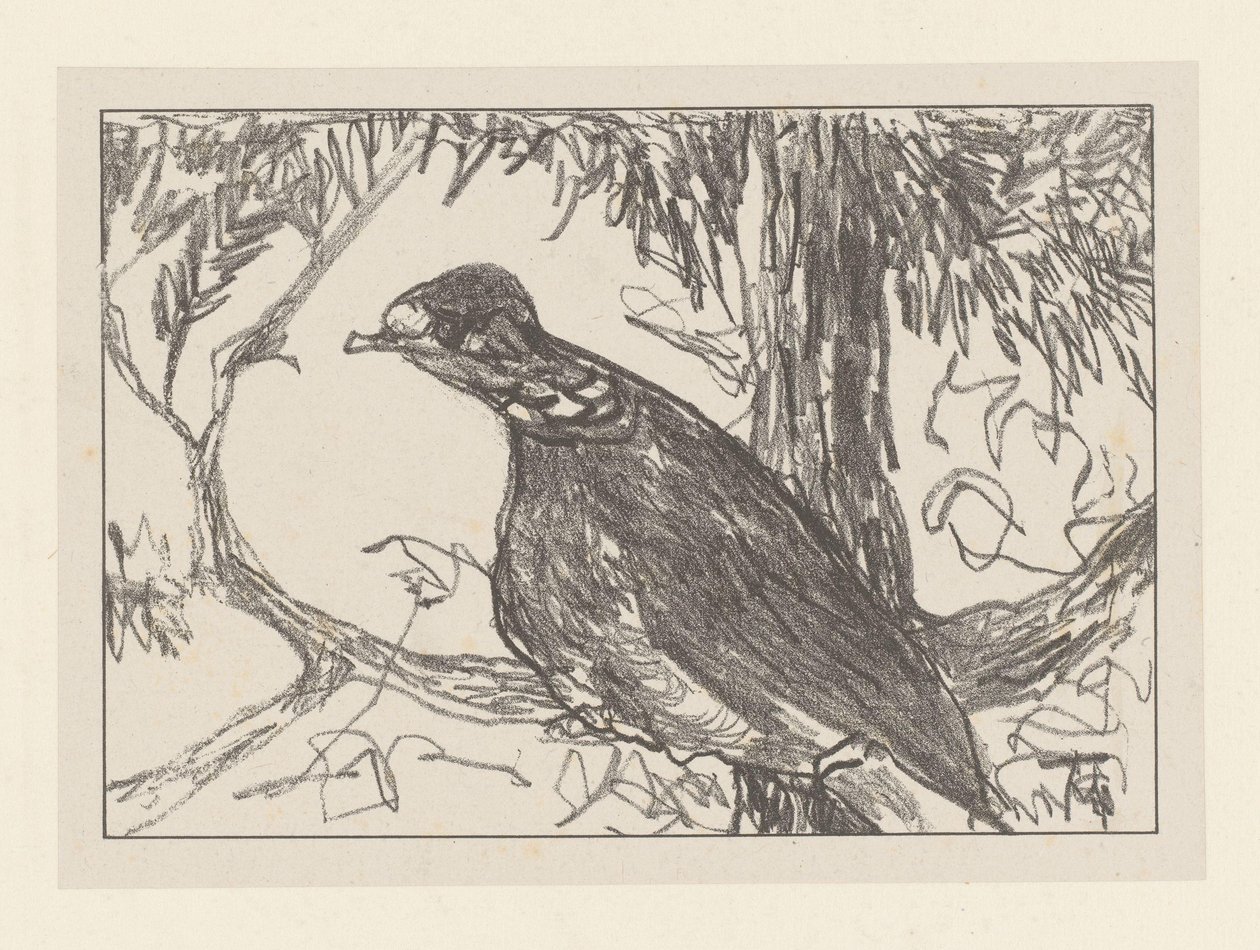 Ringeltaube im Baum von Theo van Hoytema
