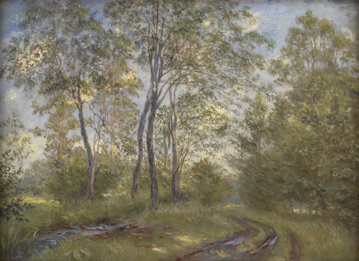 Ein Fluss in der Nähe des Meilgård-Herrenhauses, Jütland von Theodor Philipsen