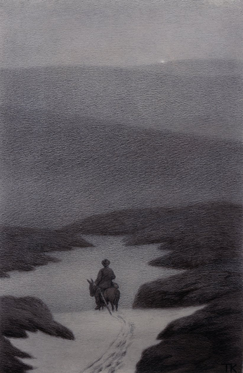 Ja, ich sehe etwas weit entfernt, sagte der Junge, es schimmert von Theodor Kittelsen