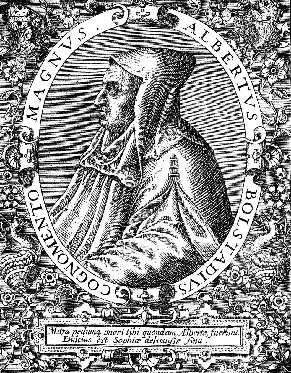 Albertus Magnus c1200-1280 deutsch-geborener Dominikanermönch, spätes 16. Jahrhundert von Theodor de Bry