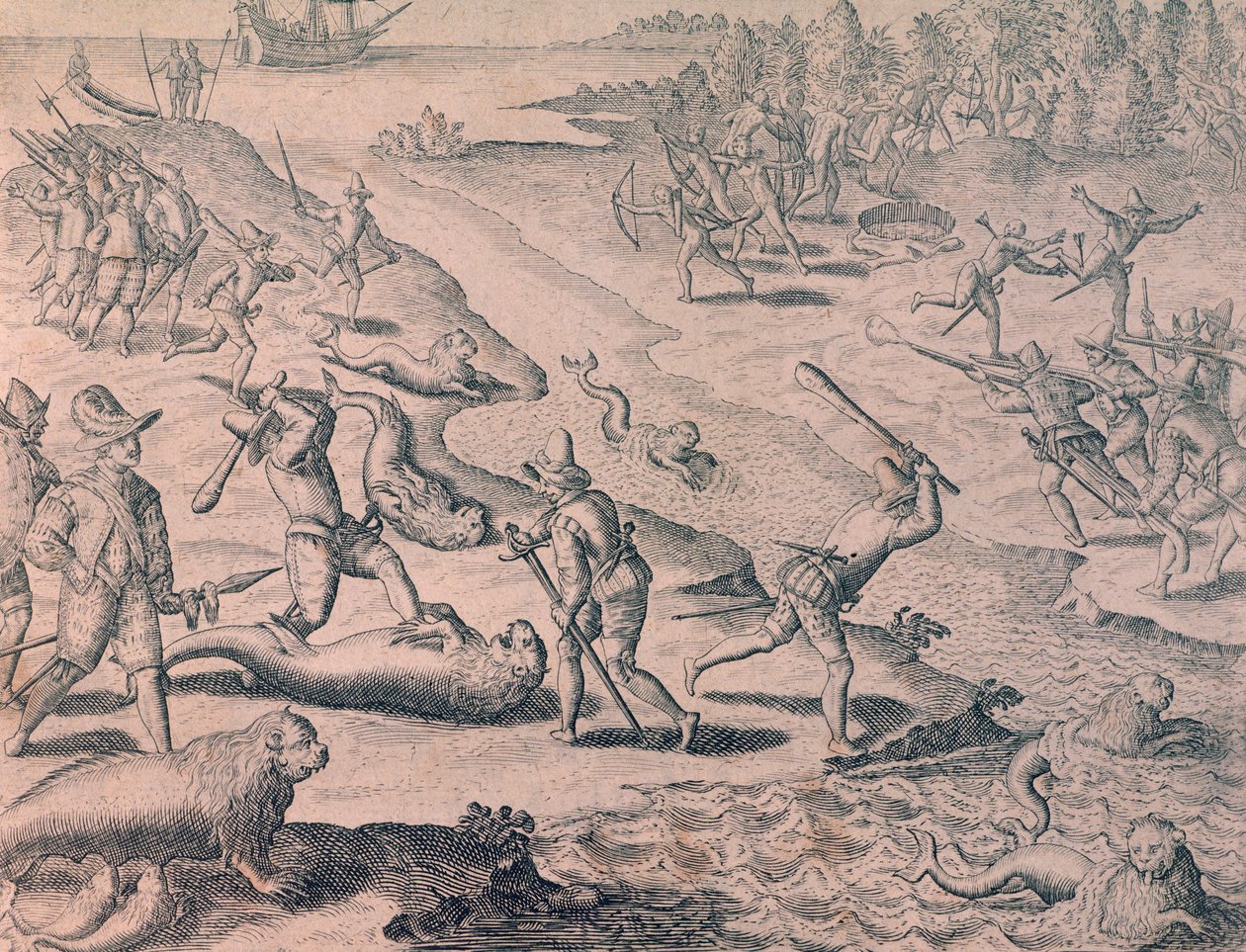 Abschlachten von Seelöwen durch Entdecker von Theodor de Bry