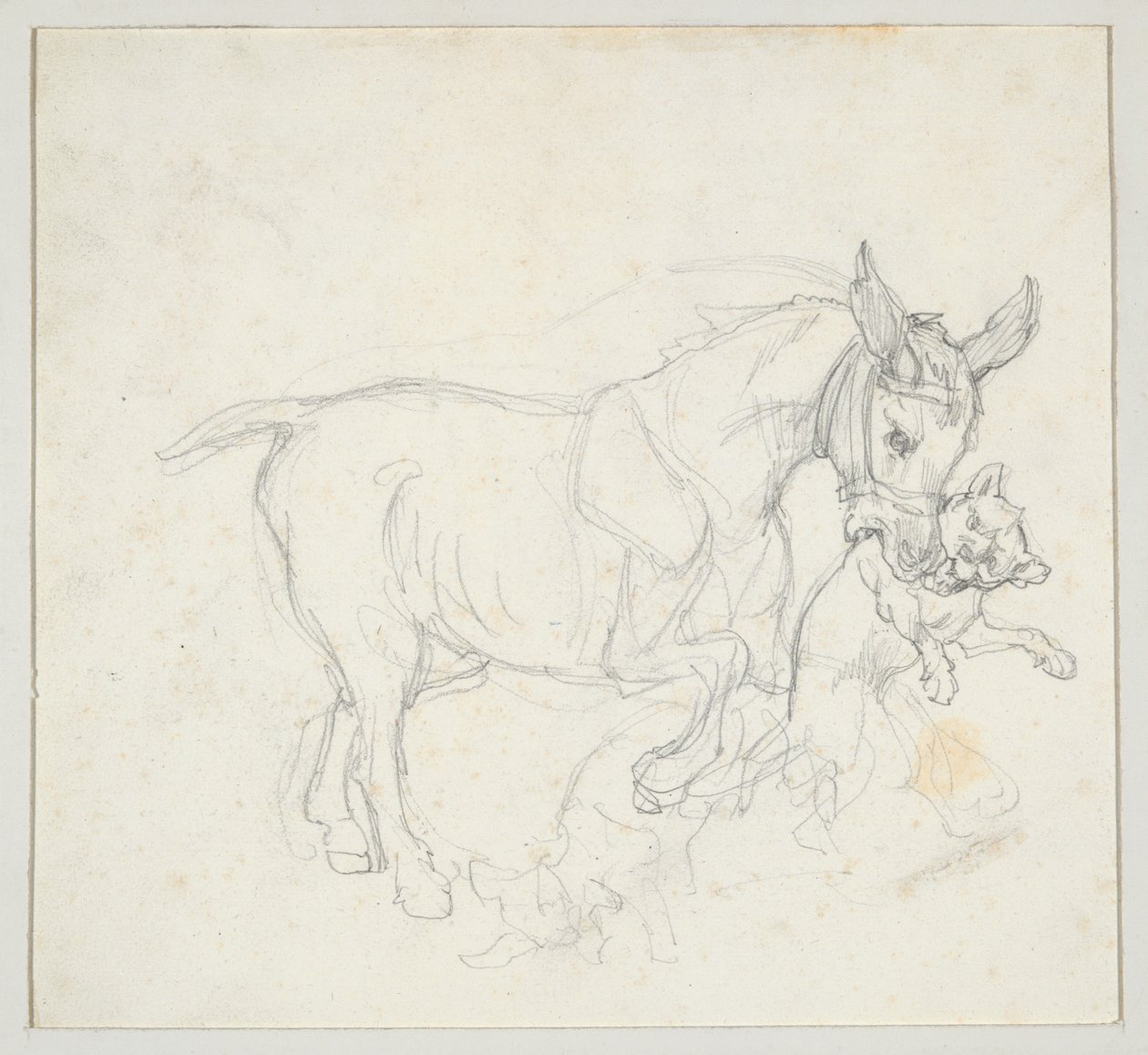 Esel mit Hund im Maul (recto); Studie von Hirschen, die von Hunden gejagt werden, Kopf einer Hirschkuh (verso) von Theodore Gericault