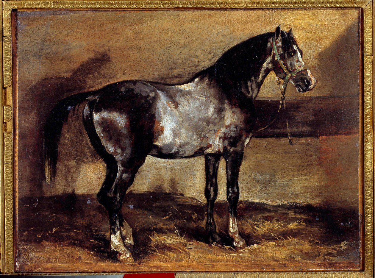 Graues Pferd am Futtertrog von Theodore Gericault
