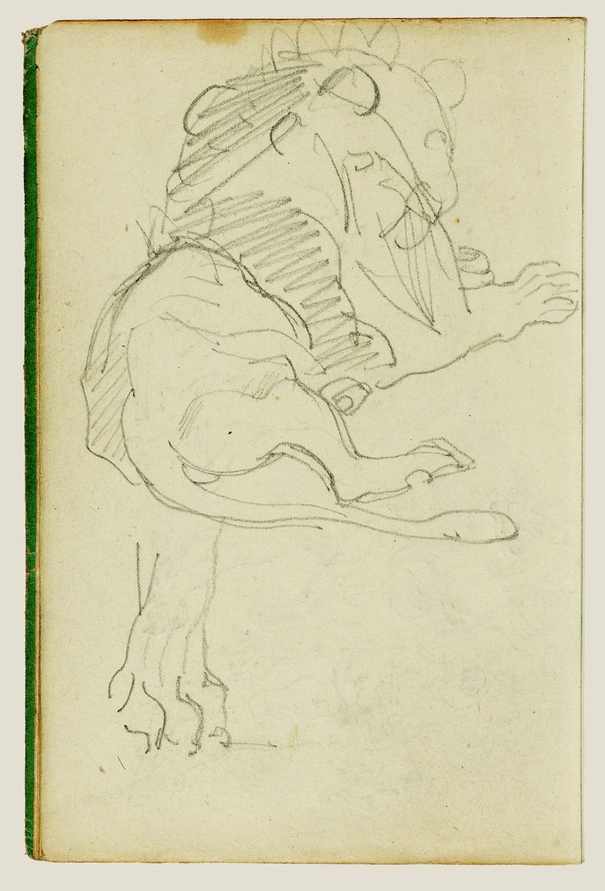 Sitzender Löwe von Theodore Gericault