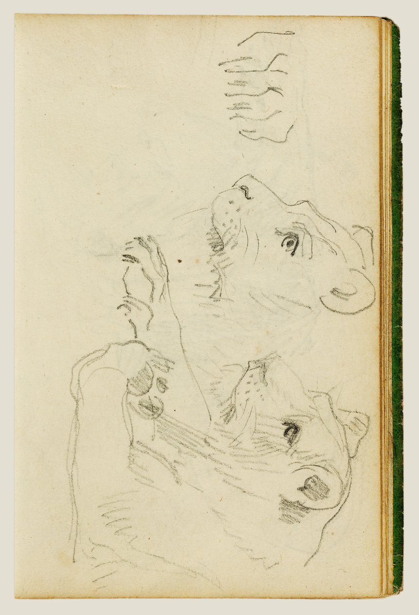 Studien des Kopfes und der Vorderbeine einer Löwin von Theodore Gericault