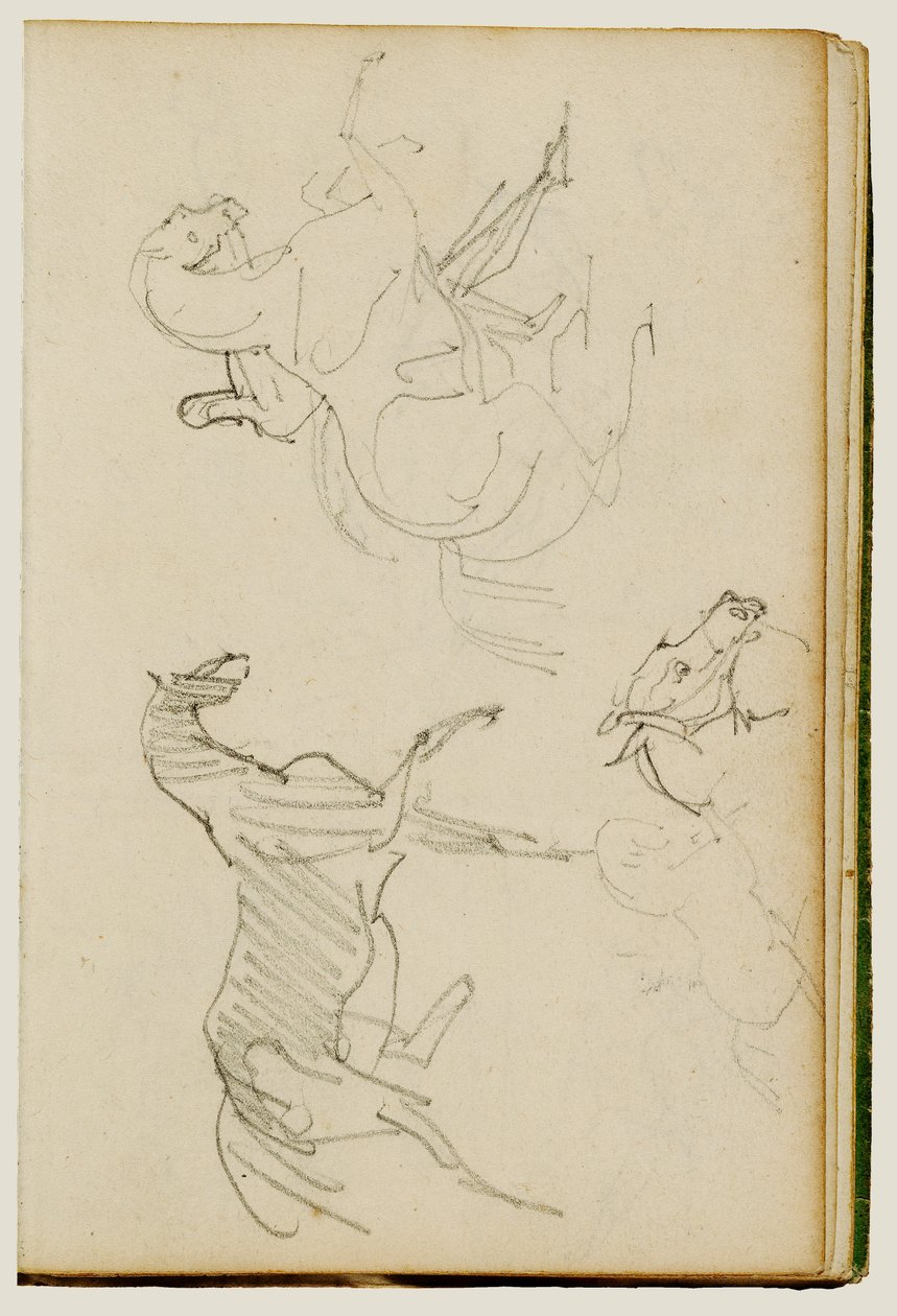Drei Pferdestudien von Theodore Gericault