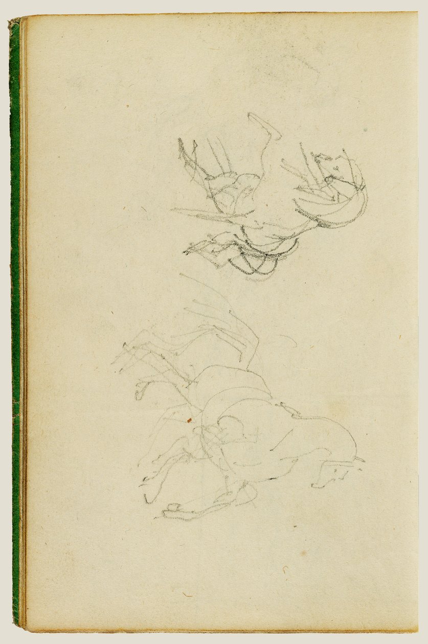 Zwei Studien eines sich aufbäumenden Pferdes von Theodore Gericault