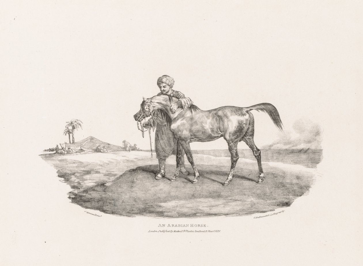 Verschiedene Motive aus dem Leben und auf Stein: Ein arabisches Pferd von Theodore Gericault