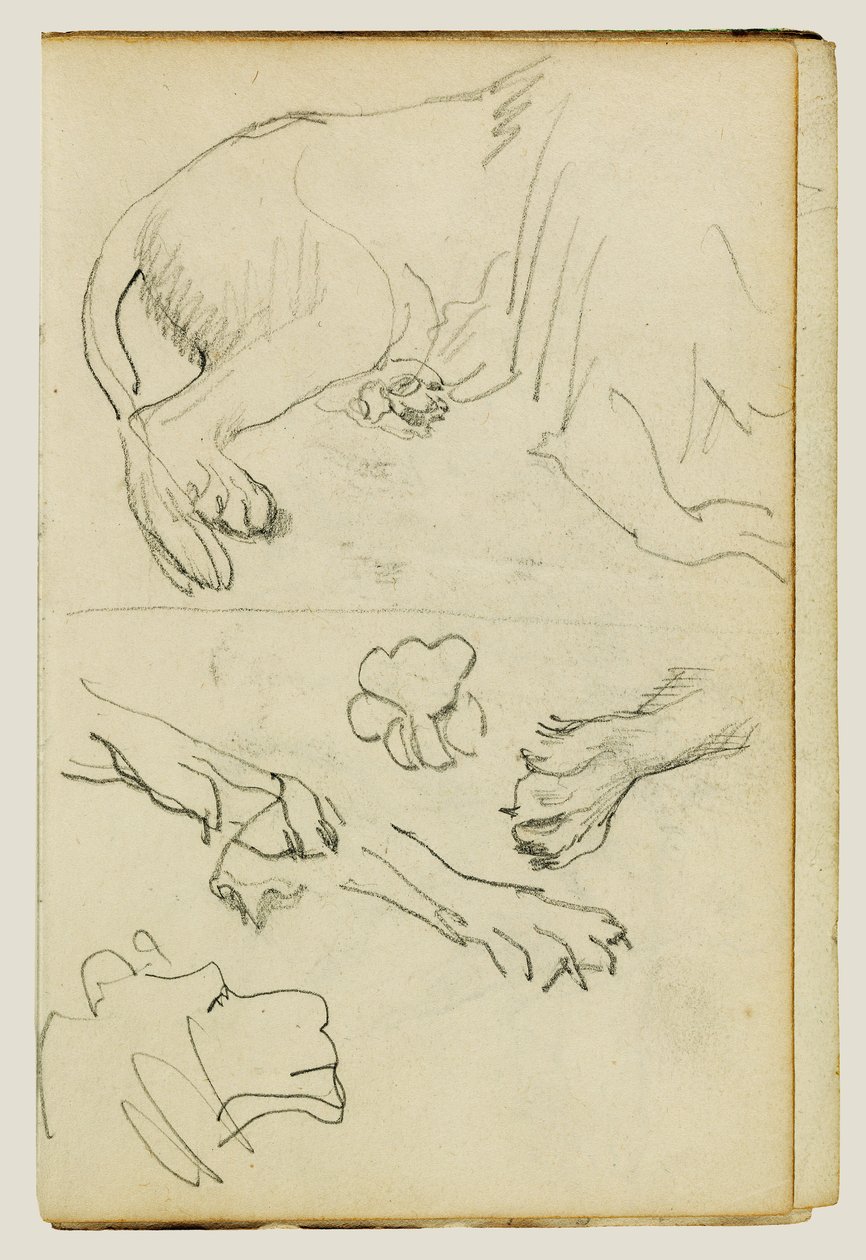 Verschiedene Studien von Löwenbein, Pfoten und Kopf von Theodore Gericault