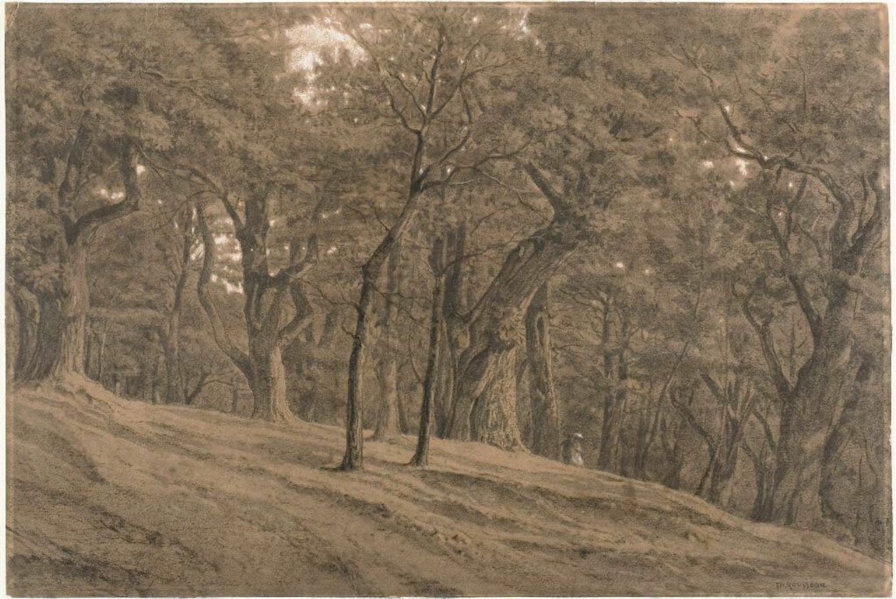 Im Wald von Fontainebleau von Theodore Rousseau