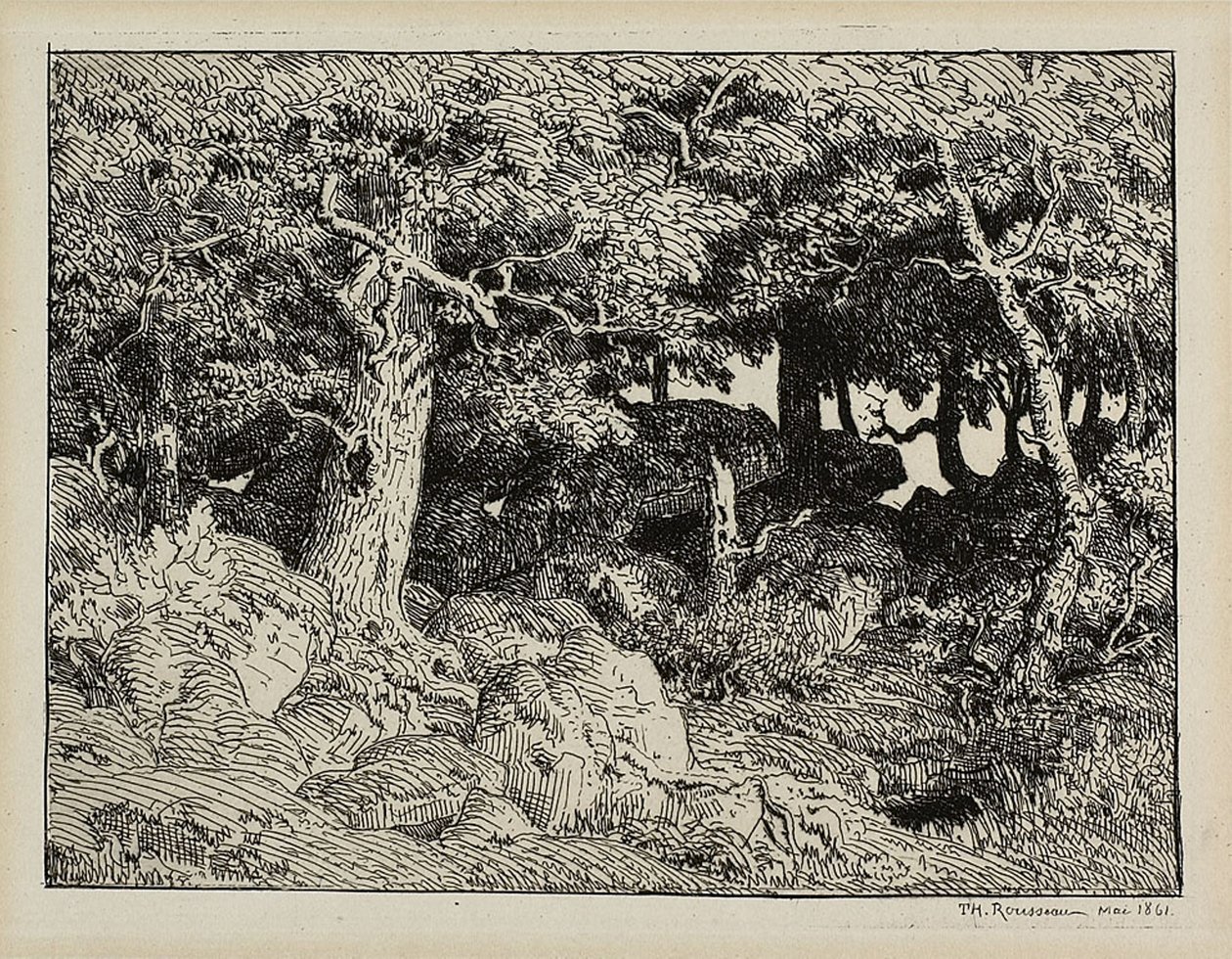 Eiche aus Felsen von Theodore Rousseau