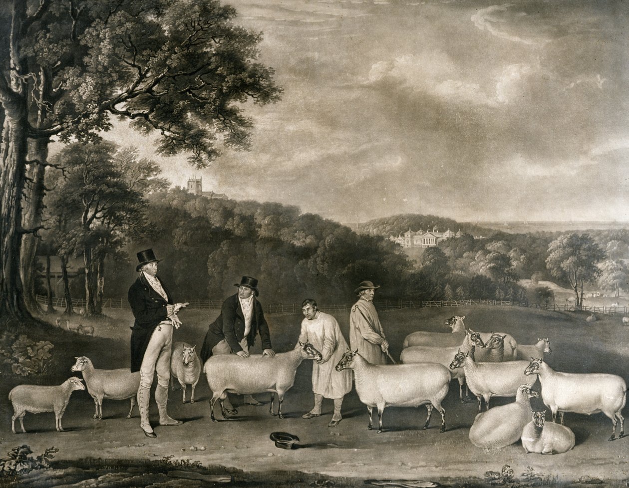 Porträt von Thomas William Coke, Esq. (1752-1842), inspiziert einige seiner South Down Schafe mit Mr. Walton und den Holkham-Schäfern, graviert von William Ward (1766-1826), 1808 von Thomas Weaver