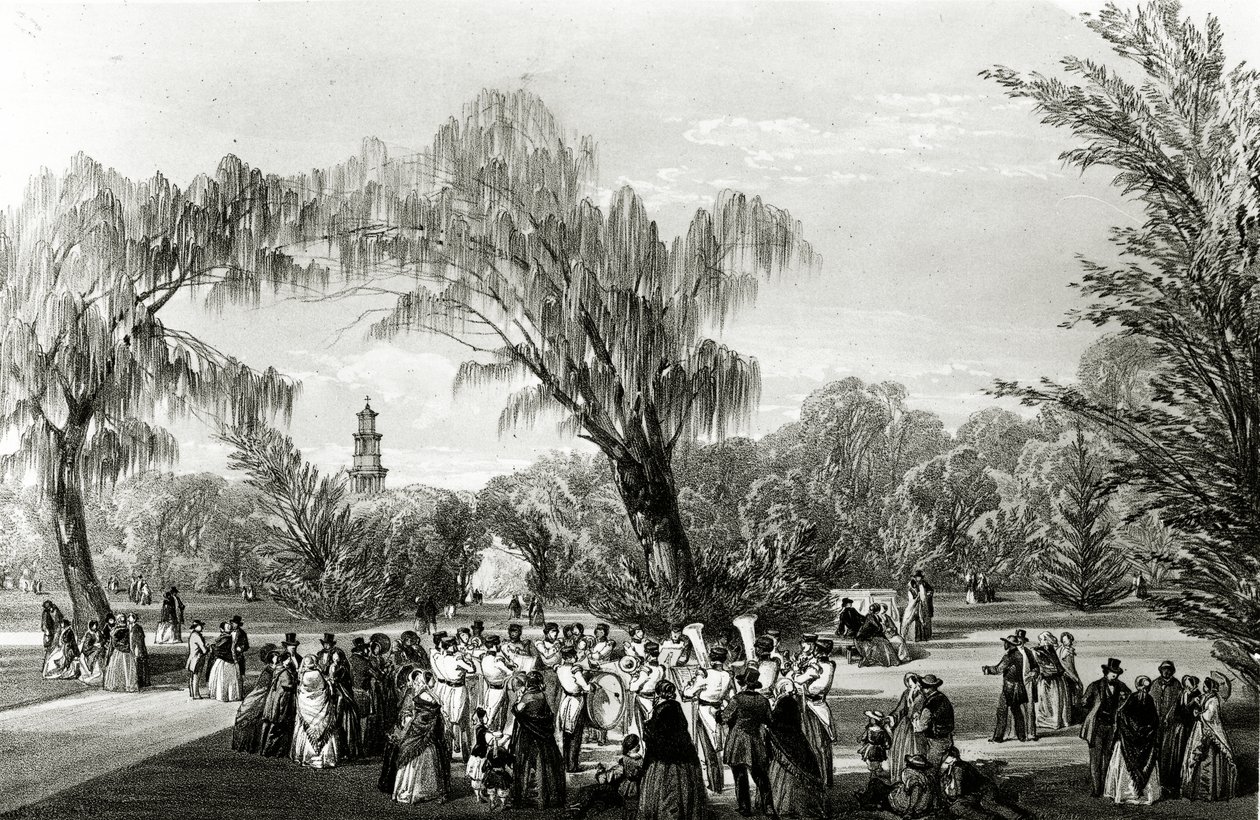 Botanische Gärten, Kapstadt, Druck von W. Simpson, ca. 1850er Jahre von Thomas William Bowler