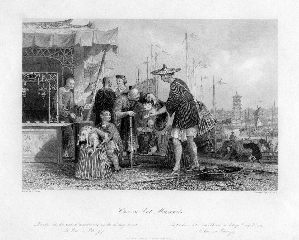 Chinesische Katzenhändler, 19. Jahrhundert von Thomas Abel Prior