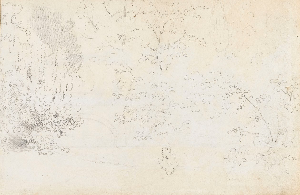 Eine Studie in Graphit von der Brücke und den Bäumen von Westen (verso) von Thomas Baxter
