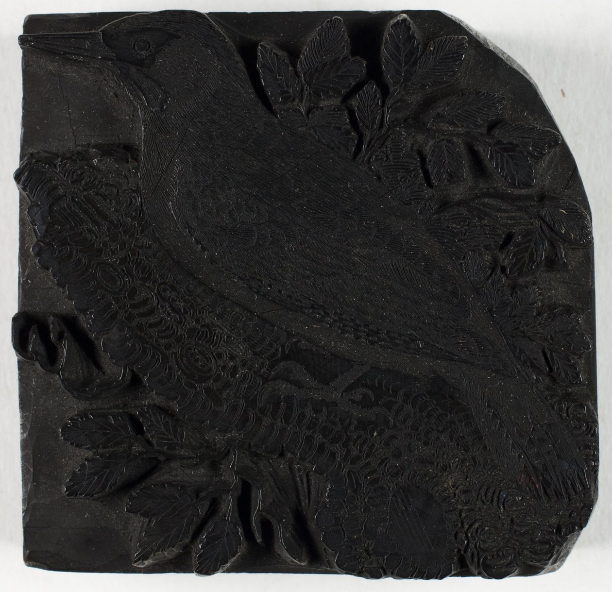 Holzschnitt für Der Grünspecht, aus A History of British Birds von Thomas Bewick