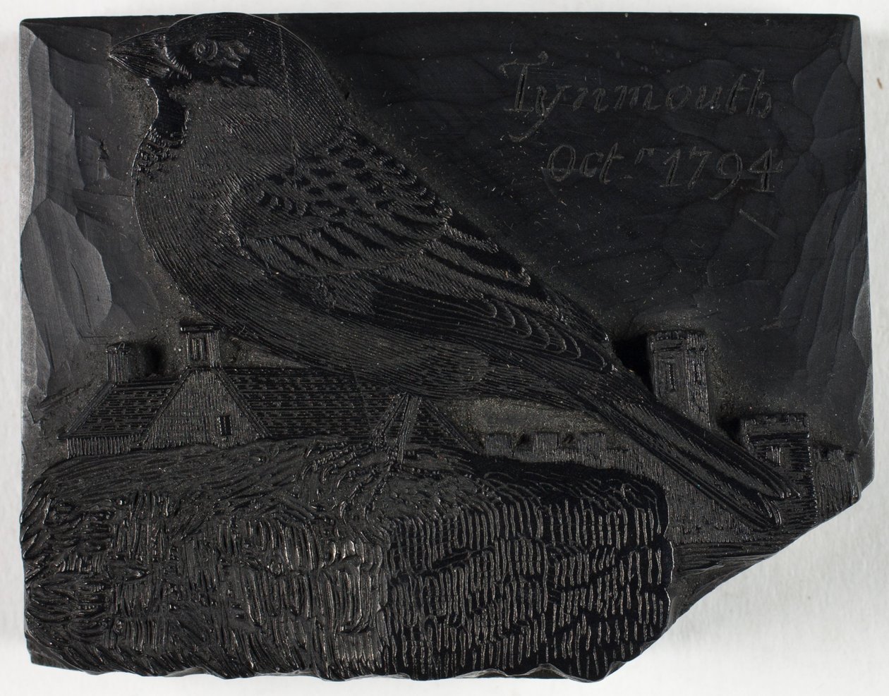 Holzschnitt für Der Spatz, aus Eine Geschichte der britischen Vögel von Thomas Bewick