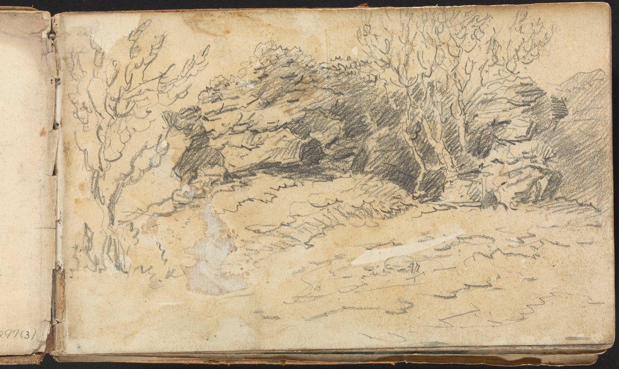 Album mit Landschafts- und Figurenstudien: Skizze von Bäumen und Felsen von Thomas Bradshaw