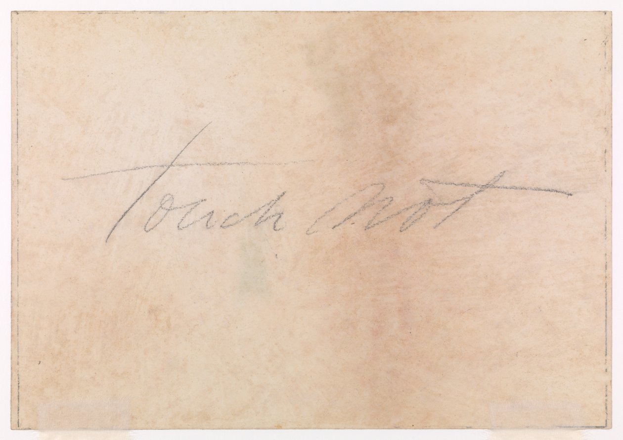 Burnham Beeches von Thomas Charles Farrer