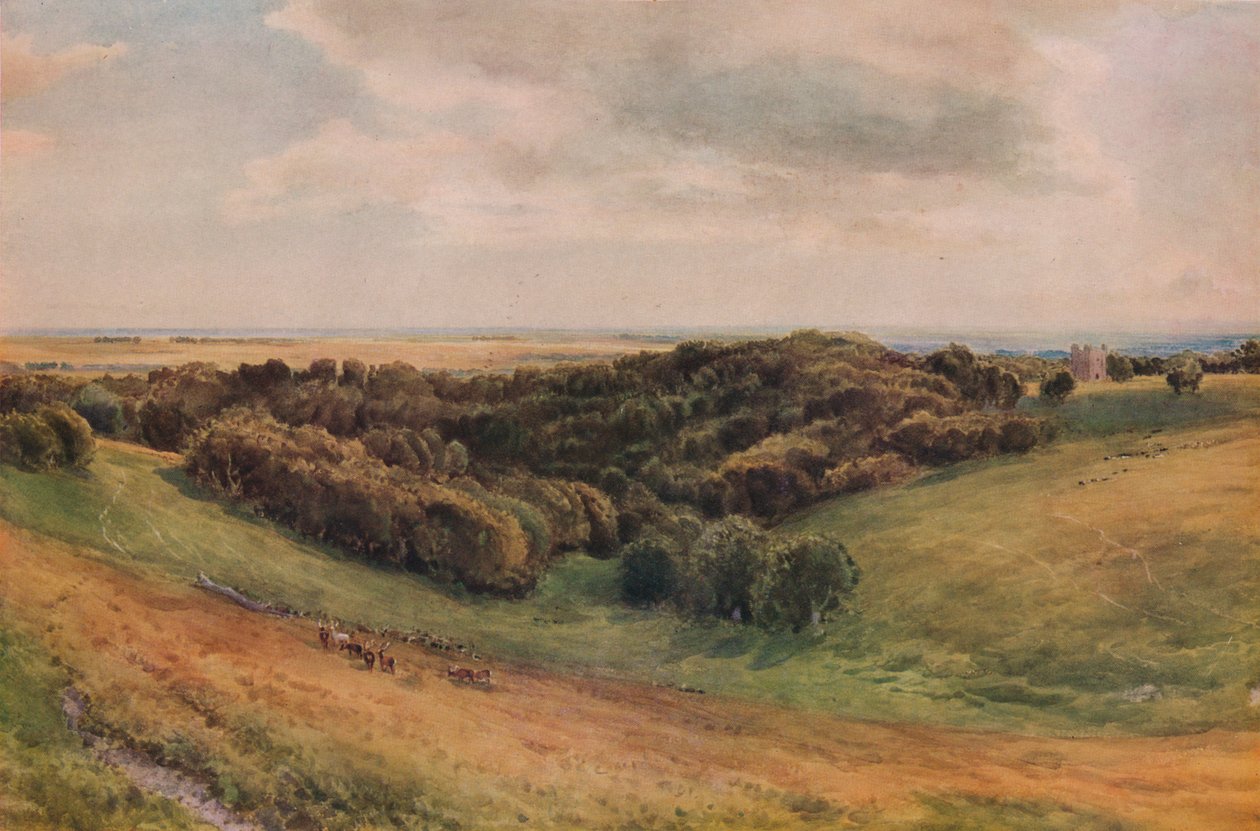 Arundel Park von Thomas Collier