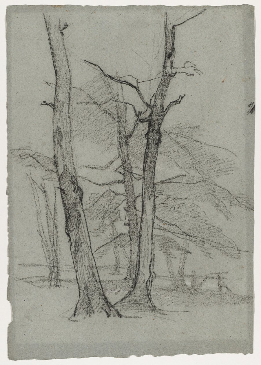 Landschaftsstudie mit Bäumen, um 1870-1875 von Thomas Couture