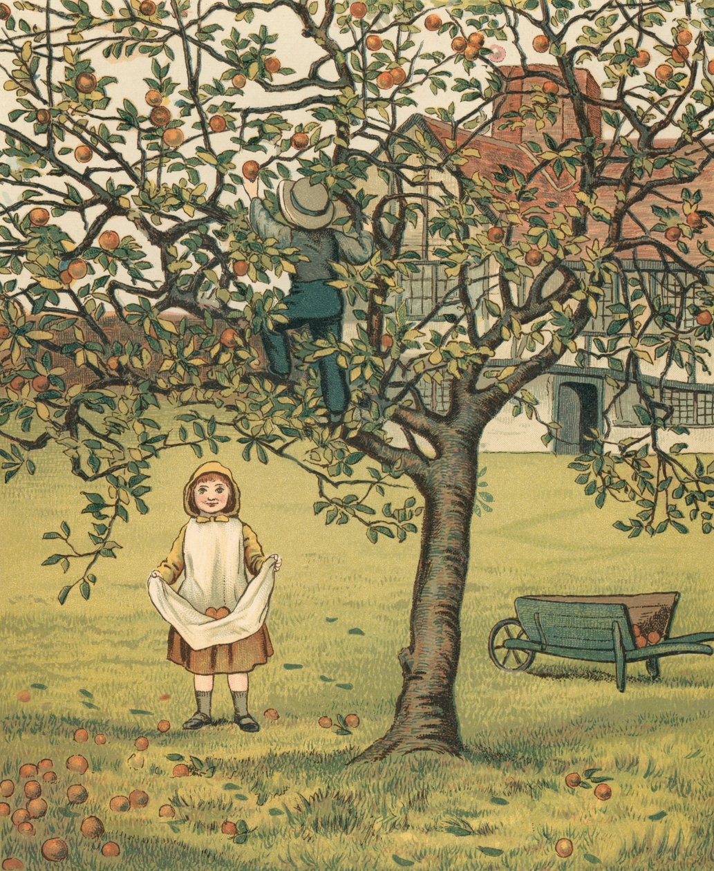 Heimleben: Kinder pflücken Äpfel im Obstgarten von Thomas Crane