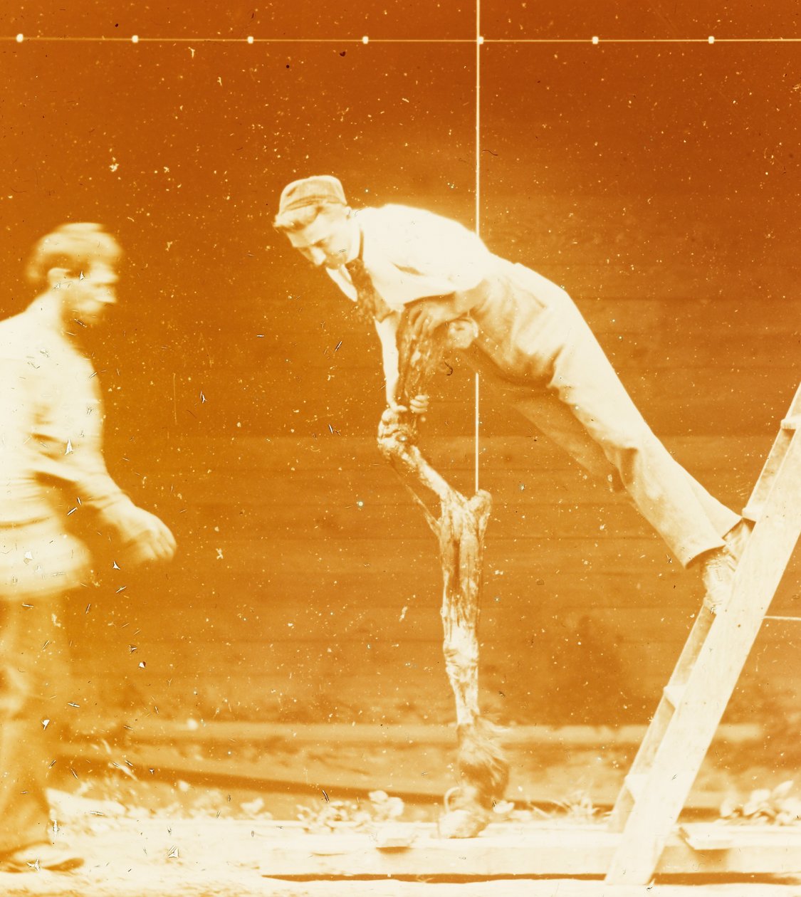 [Studie der Muskelaktion: Junger Mann lehnt an einem Pferdebein] von Thomas Eakins