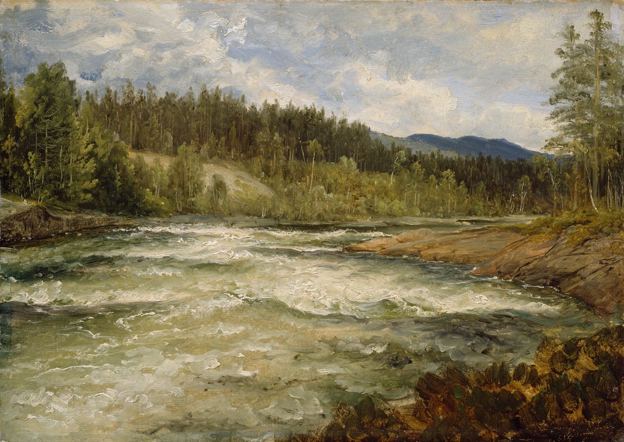 Fra Labrofossen von Thomas Fearnley
