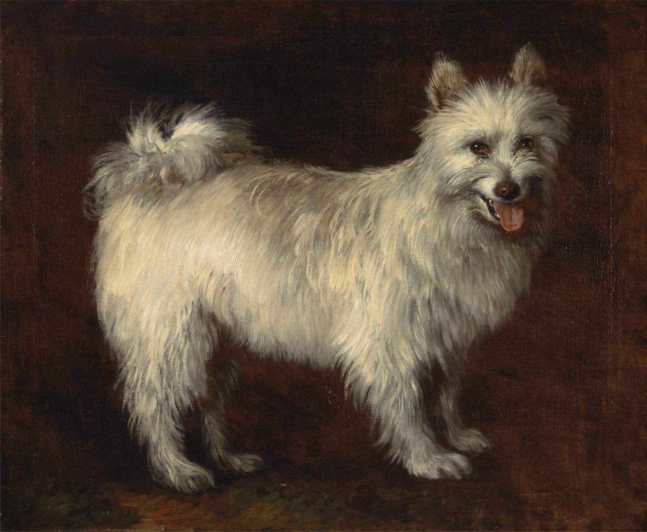 Spitzhund von Thomas Gainsborough